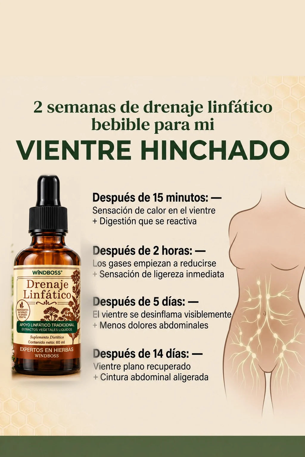 2 semanas de drenaje linfático bebible para mi vientre hinchado: después de 15 minutos, 2 horas, 5 días y 14 días